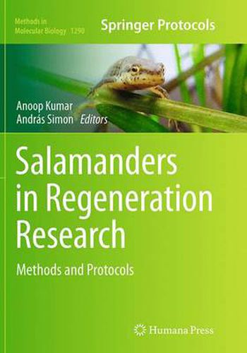 Cover image for Salamanders in Regeneration Research: Methods and Protocols