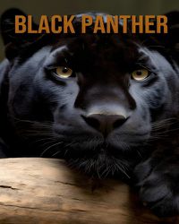 Cover image for Black Panther