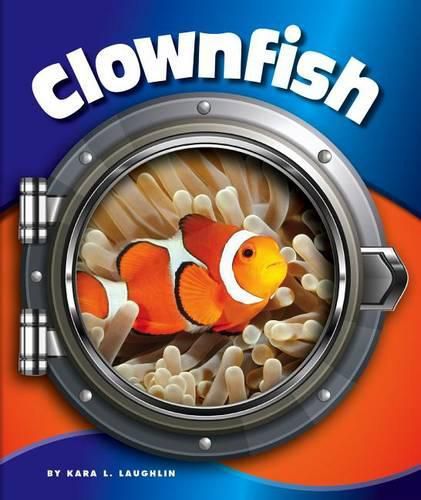 Clownfish