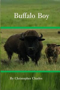 Cover image for Buiffalo Boy