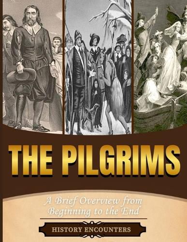 Cover image for The Pilgrims