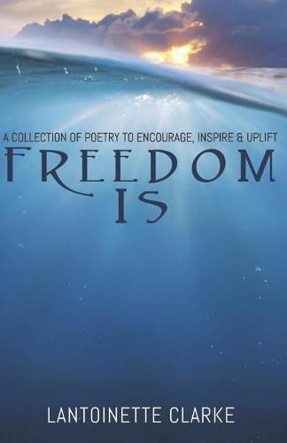 Cover image for Freedom Is