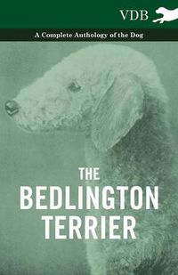 Cover image for The Bedlington Terrier - A Complete Anthology of the Dog -