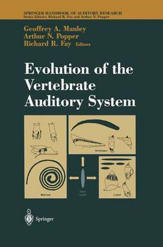 Cover image for Evolution of the Vertebrate Auditory System