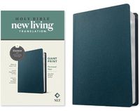 Cover image for NLT Personal Size Giant Print Bible, Filament Edition