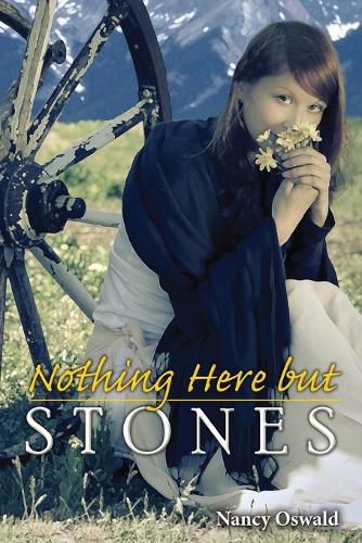 Cover image for Nothing Here But Stones