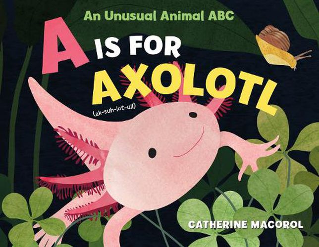 Cover image for A Is for Axolotl: An Unusual Animal ABC