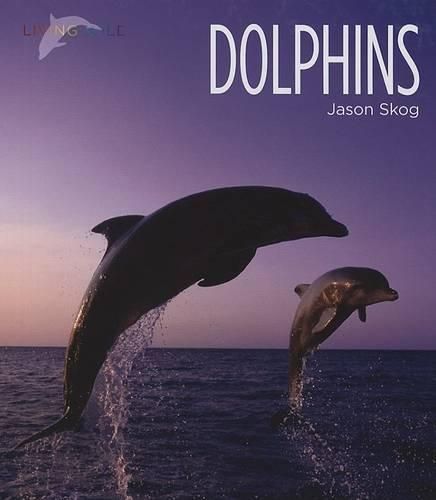 Cover image for Dolphins