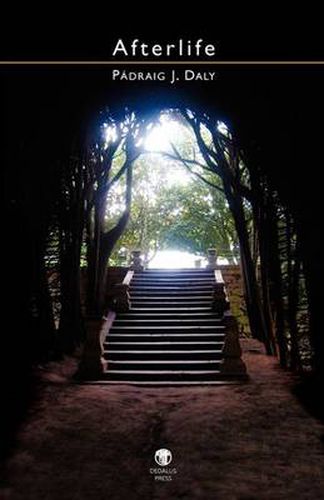 Cover image for Afterlife