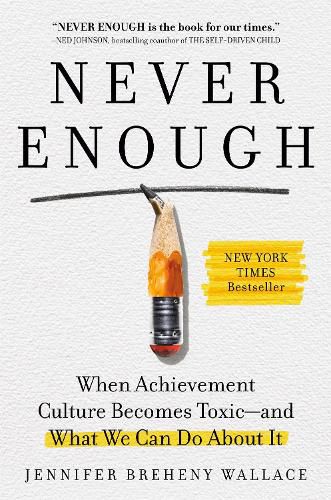 Cover image for Never Enough