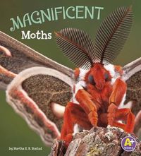 Cover image for Magnificent Moths