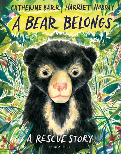 Cover image for A Bear Belongs