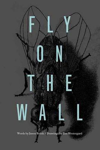 Cover image for Fly On The Wall