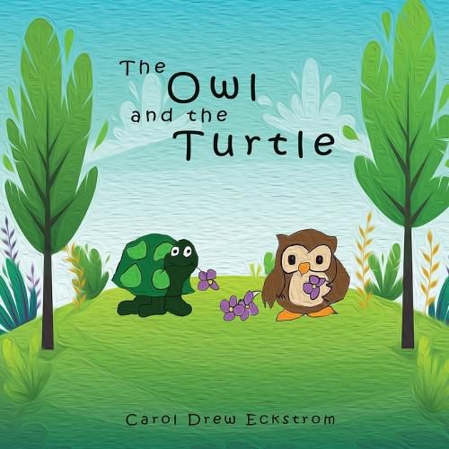 Cover image for The Owl and the Turtle