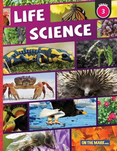 Cover image for Life Science Grade 3