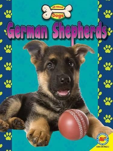 German Shepherds