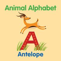 Cover image for ANIMAL ALPHABET Board Book