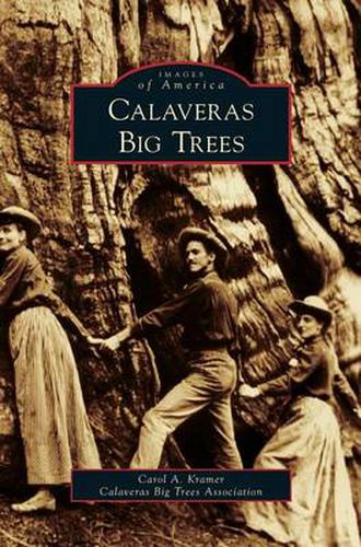 Cover image for Calaveras Big Trees