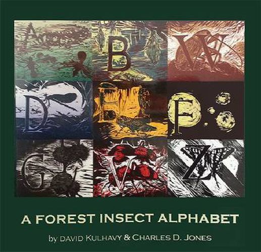 Cover image for A Forest Insect Alphabet