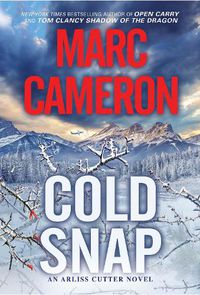 Cover image for Cold Snap: An Action Packed Novel of Suspense