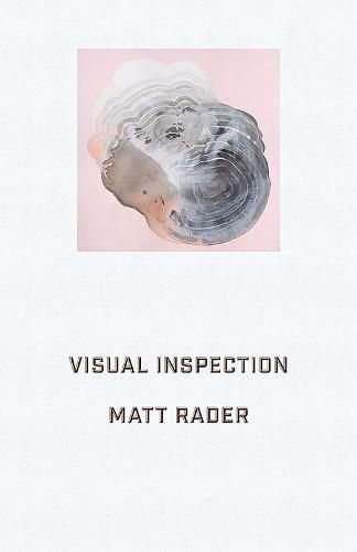 Cover image for Visual Inspection