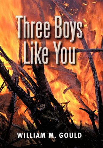 Cover image for Three Boys Like You