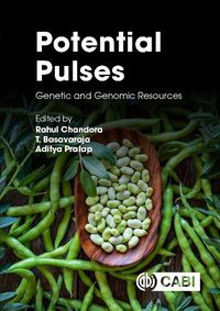 Cover image for Potential Pulses