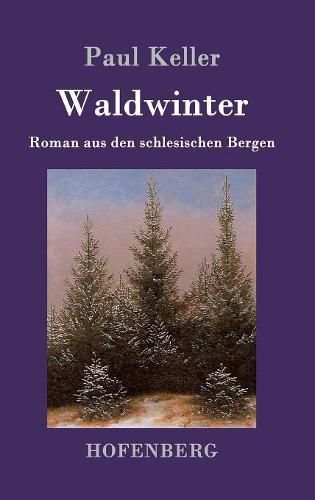 Waldwinter: Roman aus den schlesischen Bergen