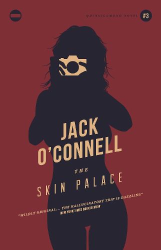 Cover image for The Skin Palace