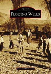 Cover image for Flowing Wells