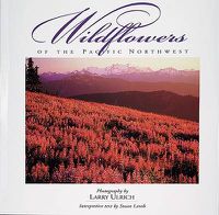 Cover image for Wildflowers of the Pacific Northwest