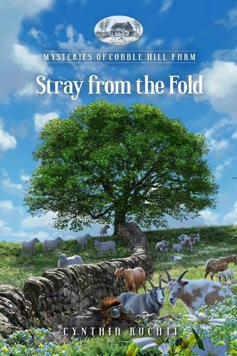 Cover image for Stray from the Fold