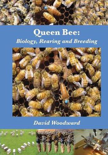 Cover image for Queen Bee: Biology, Rearing and Breeding