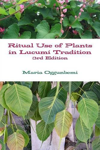 Cover image for Ritual Use of Plants in Lucumi Tradition 3rd edition