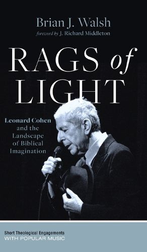 Cover image for Rags of Light