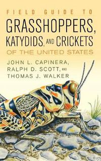 Cover image for Field Guide to Grasshoppers, Katydids, and Crickets of the United States