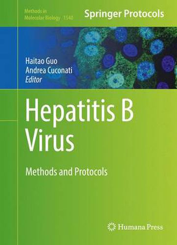 Cover image for Hepatitis B Virus: Methods and Protocols