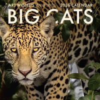 Cover image for 2026 Big Cats Wall Calendar