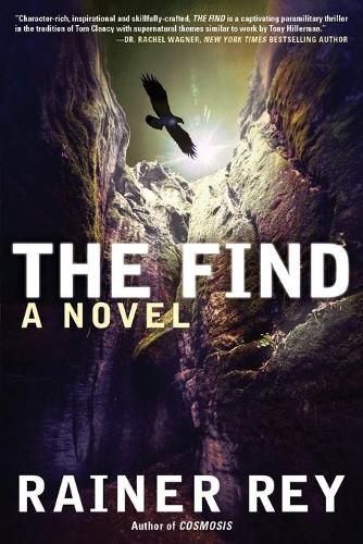 Cover image for The Find