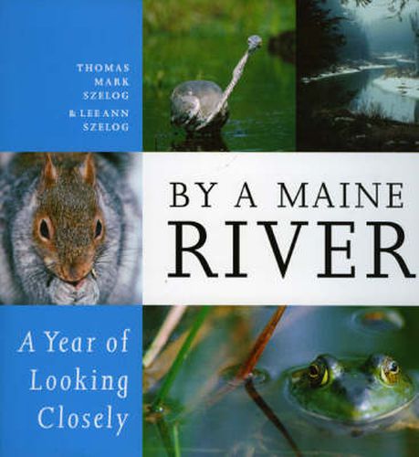 Cover image for By a Maine River: A Year of Looking Closely