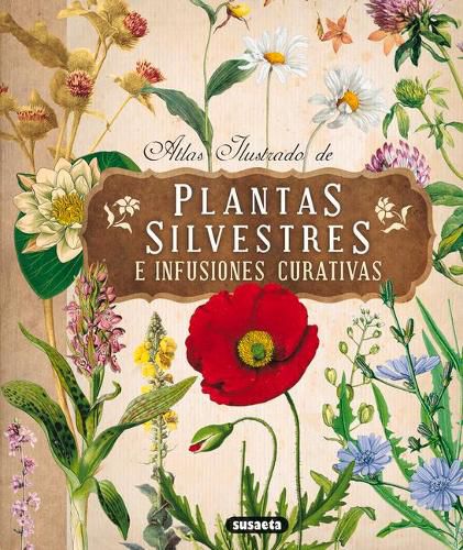 Cover image for Atlas Ilustrado de Plantas Silvestres E Infusiones Curativas