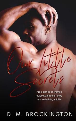 Cover image for Our Little Secrets