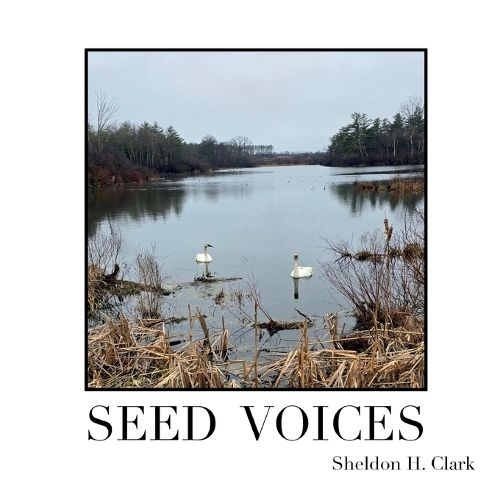 Cover image for Seed Voices