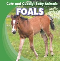 Cover image for Foals