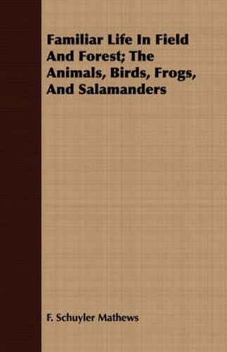 Cover image for Familiar Life in Field and Forest; The Animals, Birds, Frogs, and Salamanders