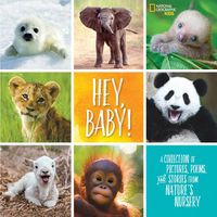 Cover image for Hey, Baby!