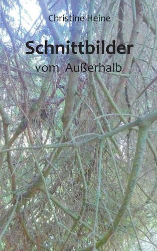 Cover image for Schnittbilder: vom Ausserhalb