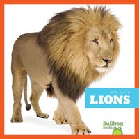 Cover image for Lions