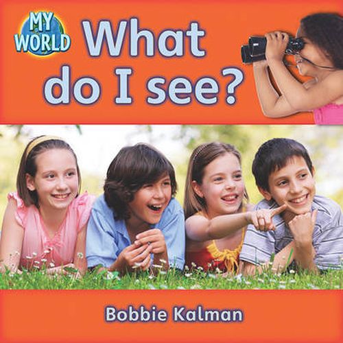 Cover image for What do I see?: Looking in My World