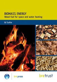 Cover image for Biomass Energy: Wood-based Fuels for Space and Water Heating